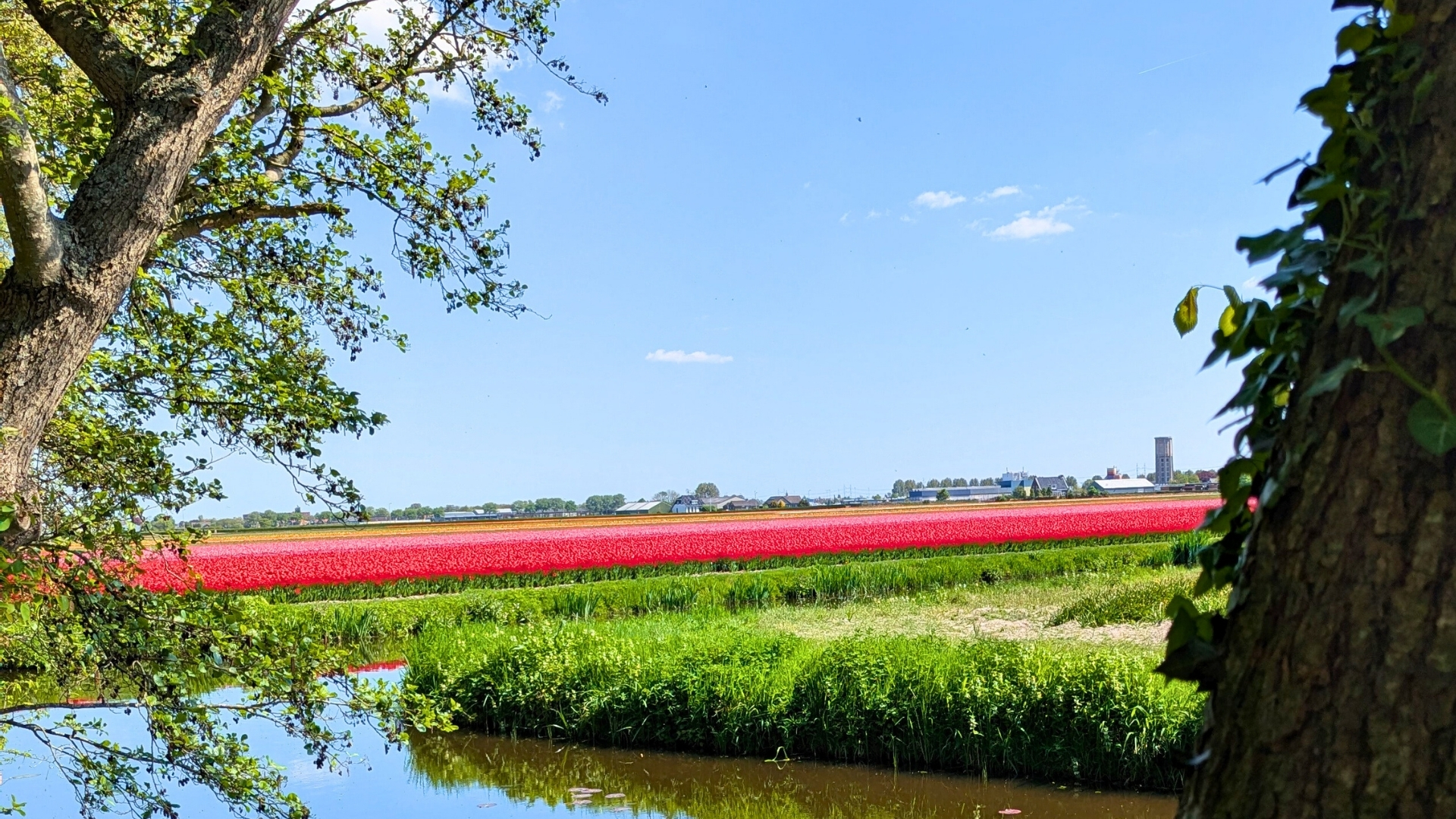 vue du moulin du parc amsterdam article elodie