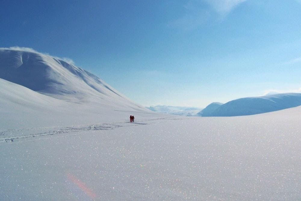 Paysage polaire magique de neige scintillante sur la Kungsleden