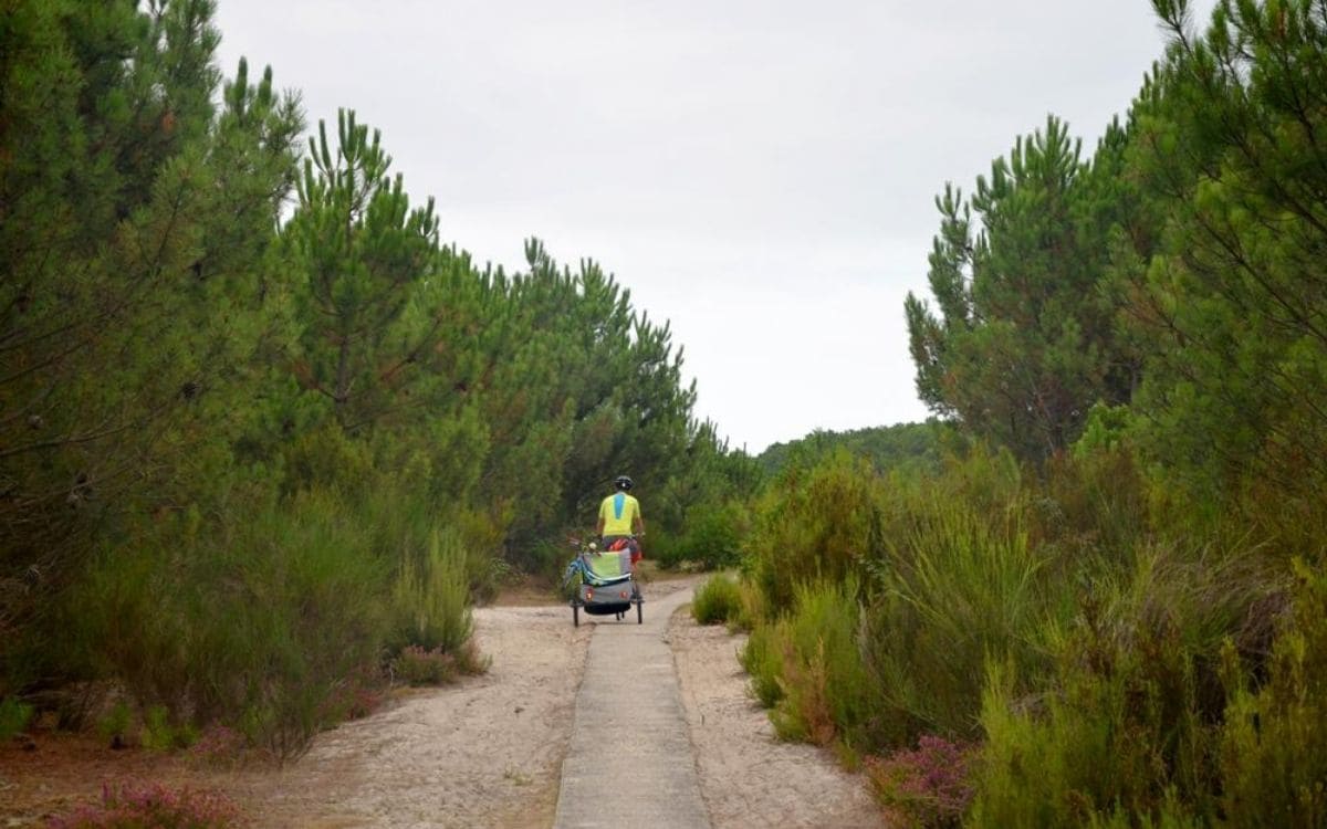 Petite piste cyclable entre Maubuisson et Lacanau