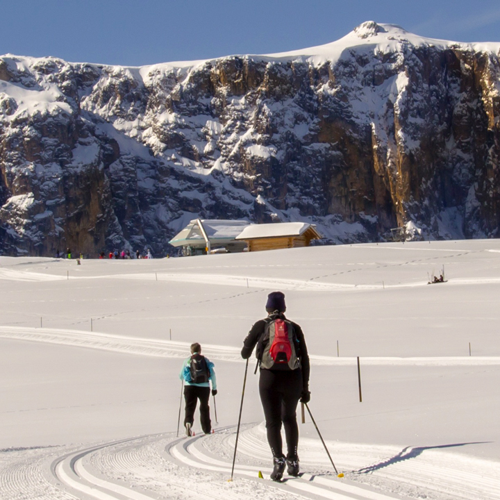 Ski de fond classique