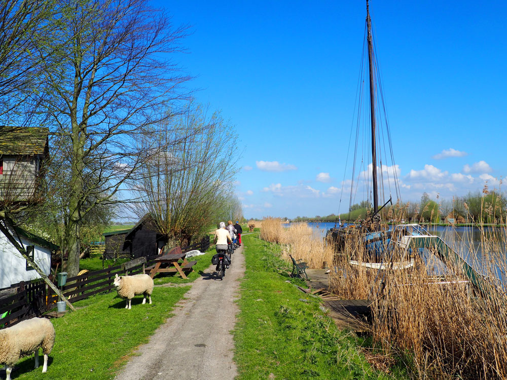 Piste cyclable le long de l’Amstel avec ses moutons aux Pays-Bas © David Praire