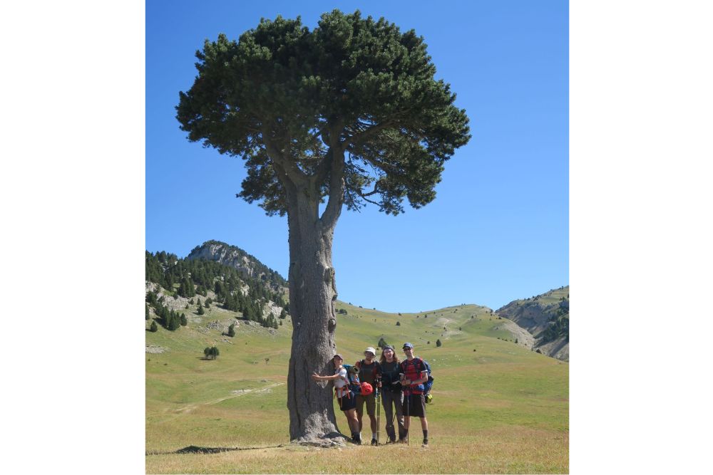 Plaine de Queyrie et son arbre caracteristique © Cécile Thiaucourt