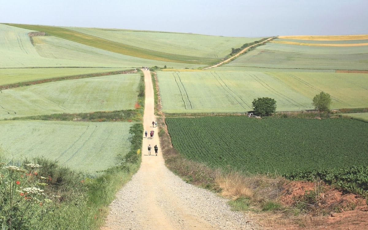Randonneurs sur les chemins de Saint Jacques