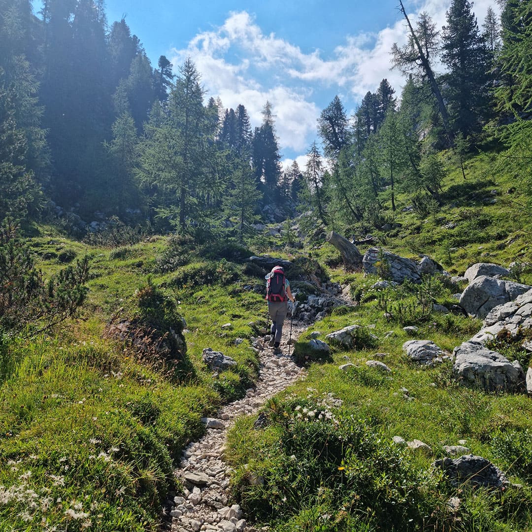 Sentier après le lac