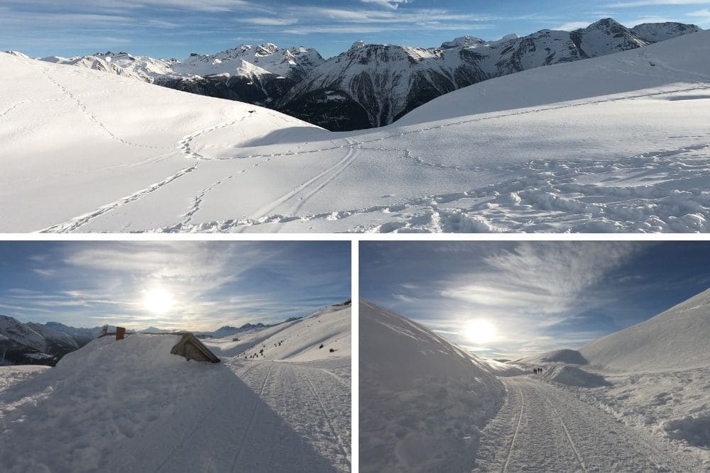 Sentiers et paysages entre Fiescheralp et Bettmeralp