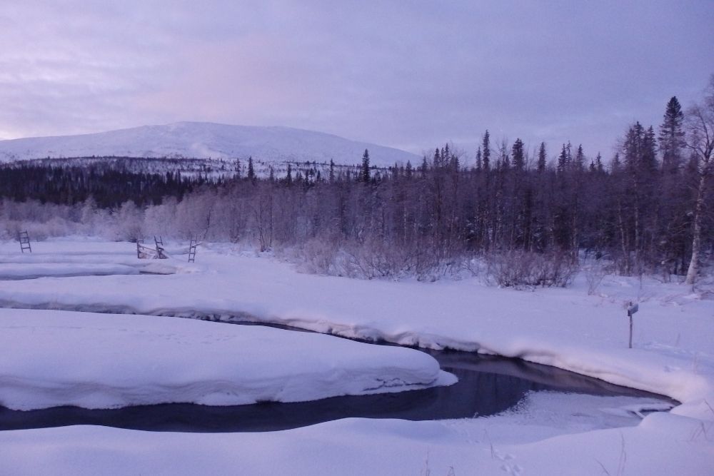 Vue sur une rivière en Laponie
