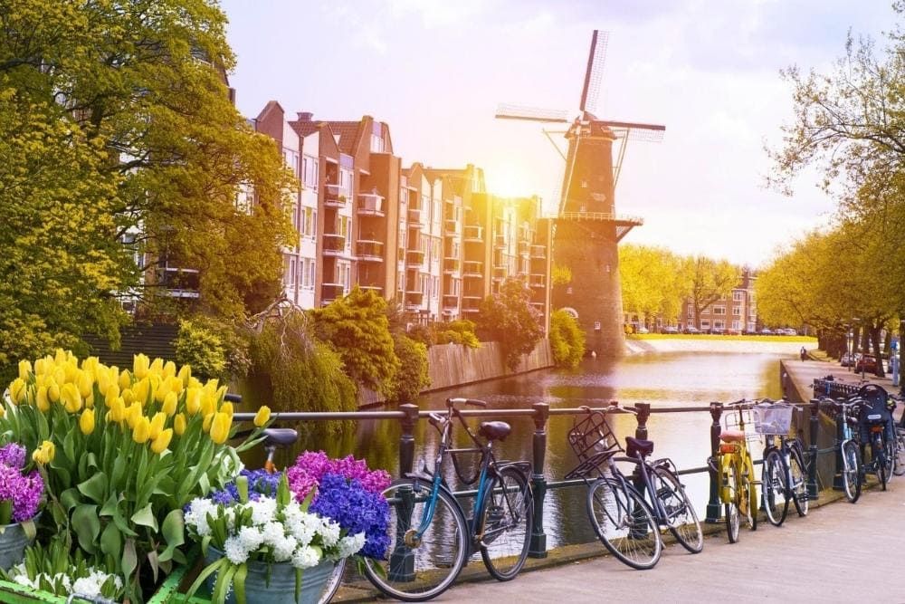 Vue sur un canal du Pays-Bas, avec tulipes et moulin © AdobeStock