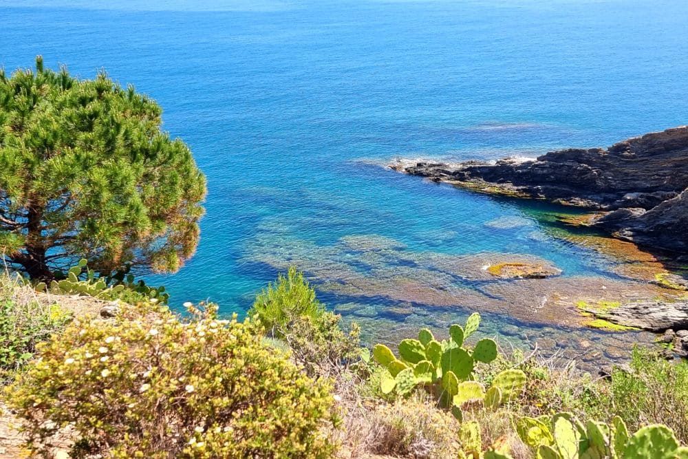 Petite crique rocheuse entre Collioure et Banyuls 