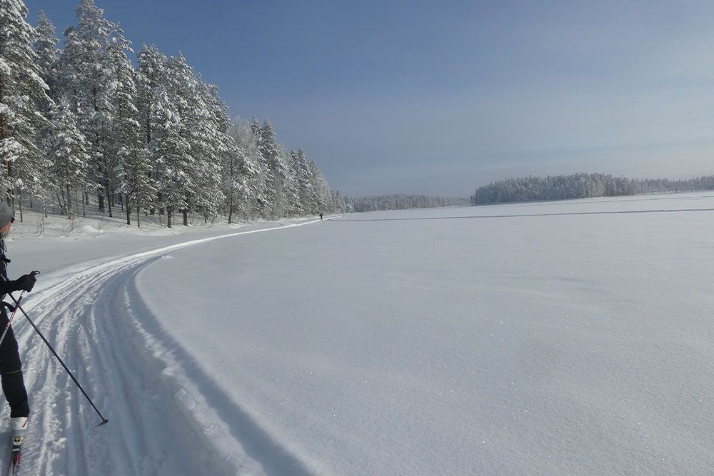 Sur les pistes de ski de fond de Finlande
