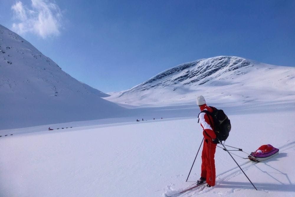 Skieur avec pulka regardant le passage de chiens de traineaux
