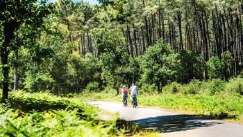 Couples de retraités en balade à vélo dans les Landes