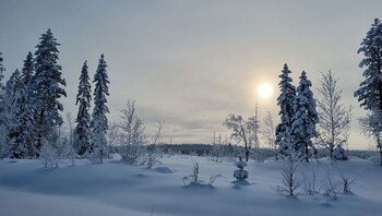 Ciel voilé dans la région de Kainuu à l'est de la finlande