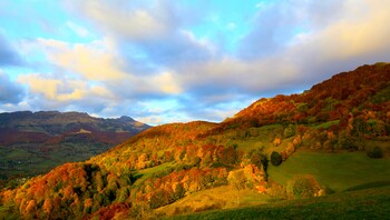 Auvergne en automne