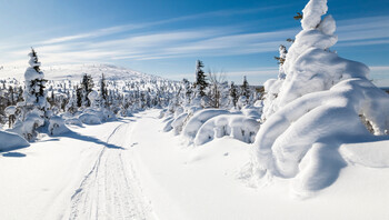 Image de partage des plus beaux paysages de Finlande (laponie)