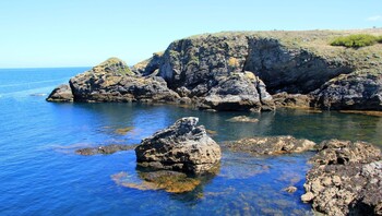 article clemence image de partage belle ile en mer