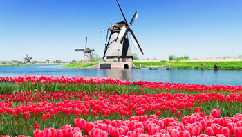 image de partage plus beaux parcs tulipes hollande