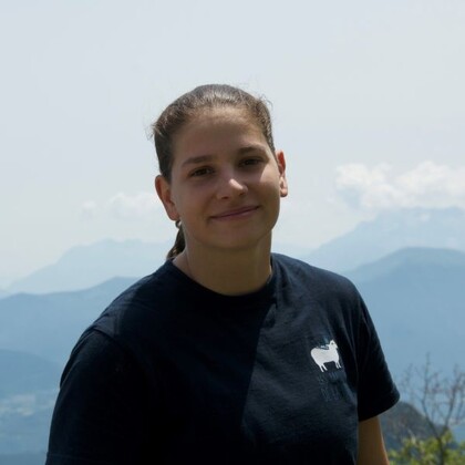 camilleA camilleA