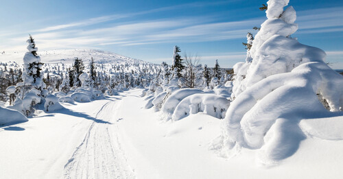 Vous n’êtes pas prêt pour la beauté de ces paysages finlandais !