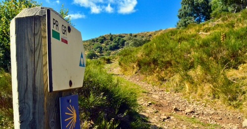 Le Chemin de Compostelle : tout ce qu’il faut savoir pour réussir !!