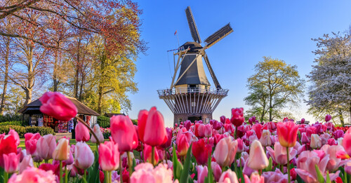 Que faire à Amsterdam en 4 jours ?