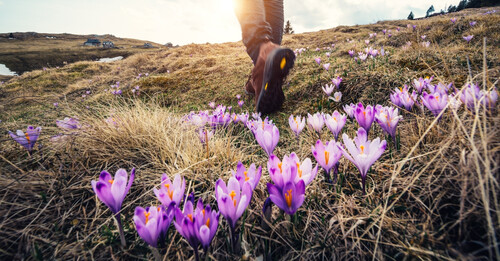 Printemps, été, automne, hiver : Où partir en Europe pour ne jamais être déçu ? Notre guide pour choisir la bonne destination à la bonne saison