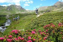 Le Grand Paradis et la vallée d'Aoste