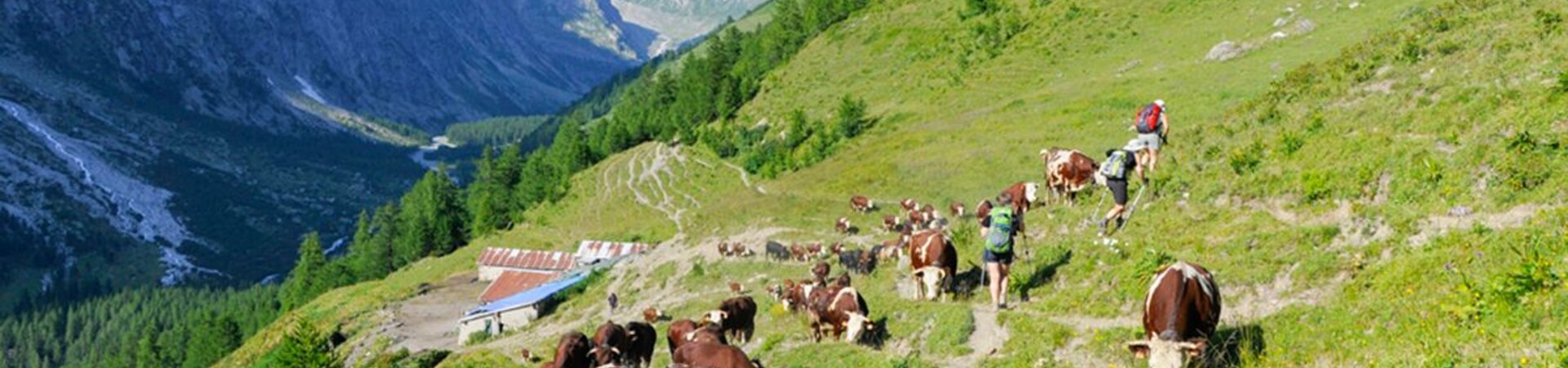Treks et séjours randonnée en Juillet