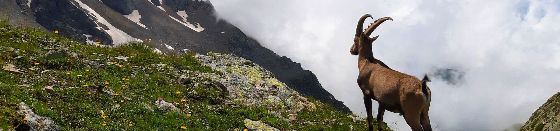 Notre top 7 des grandes traversées alpines