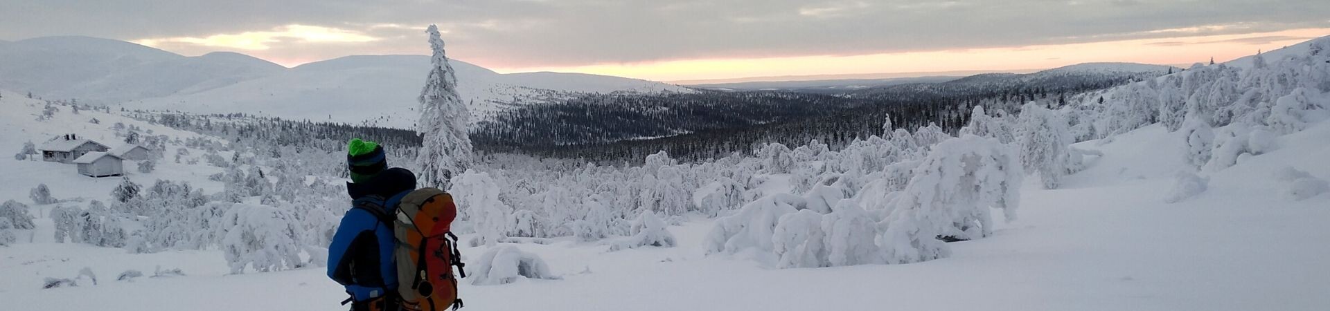 Laponie finlandaise : en immersion dans la nuit polaire