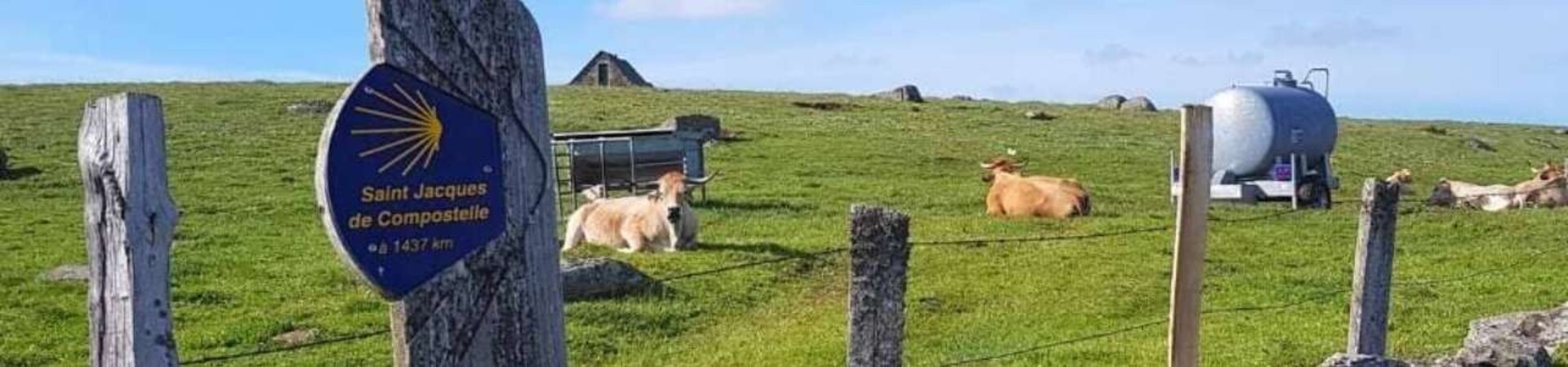 Sur le chemin de Compostelle, de l'Aubrac à Conques