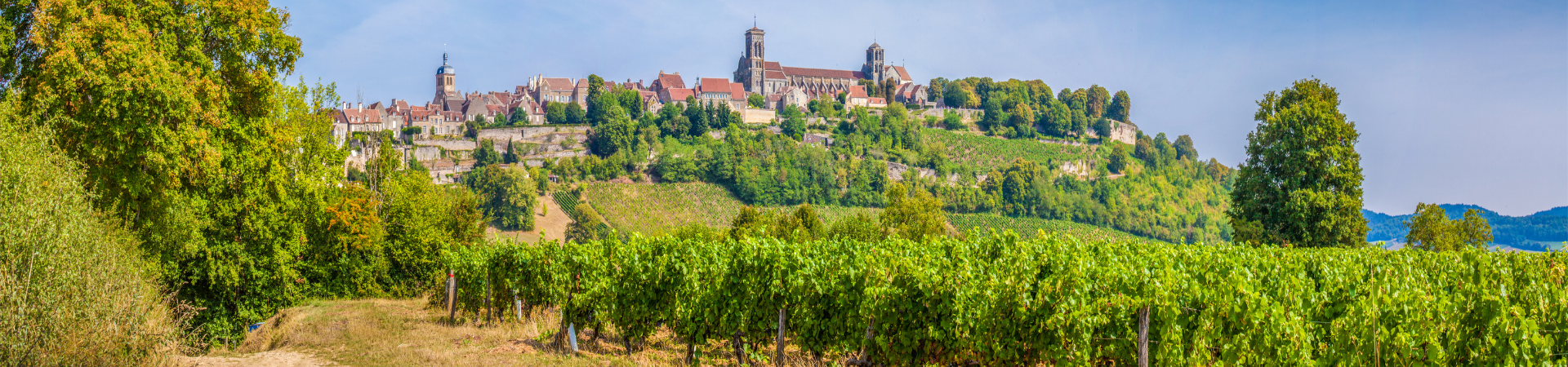 Voyages organisés en Bourgogne