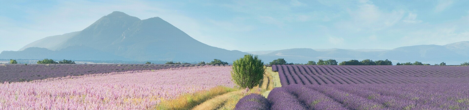 Provence <br> <small>Voyages nature dans le Sud de la France</small>