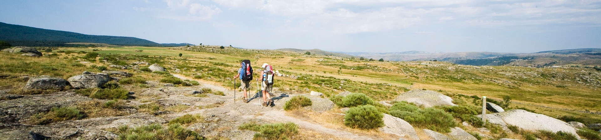 Le sentier de Stevenson<br> <small>Treks et randonnées organisée en [seo:summerYear]</small>