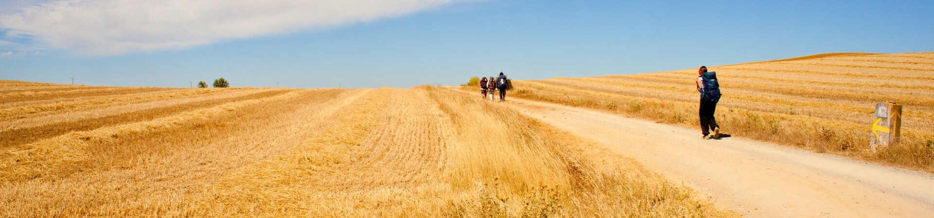 Le Chemin de Compostelle : tout ce qu’il faut savoir pour réussir !!