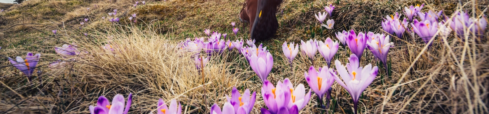 Où partir en trek au mois d'avril ?