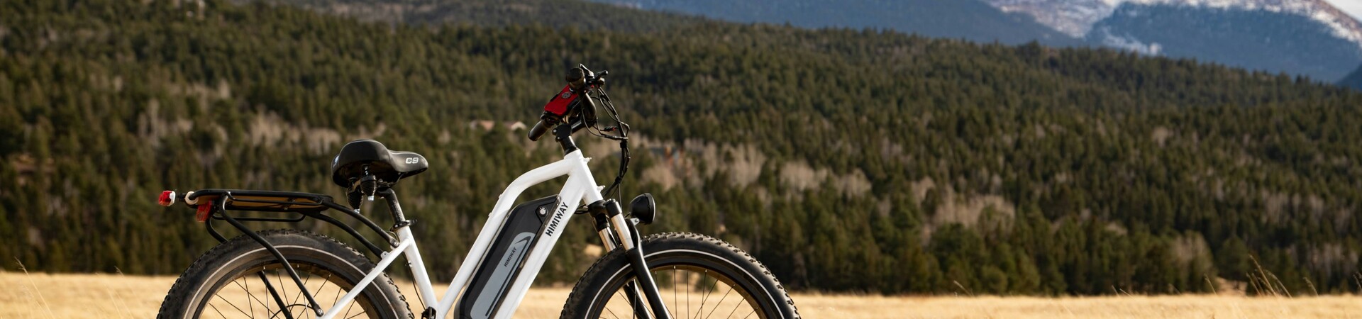 Voyage à vélo avec assistance électrique