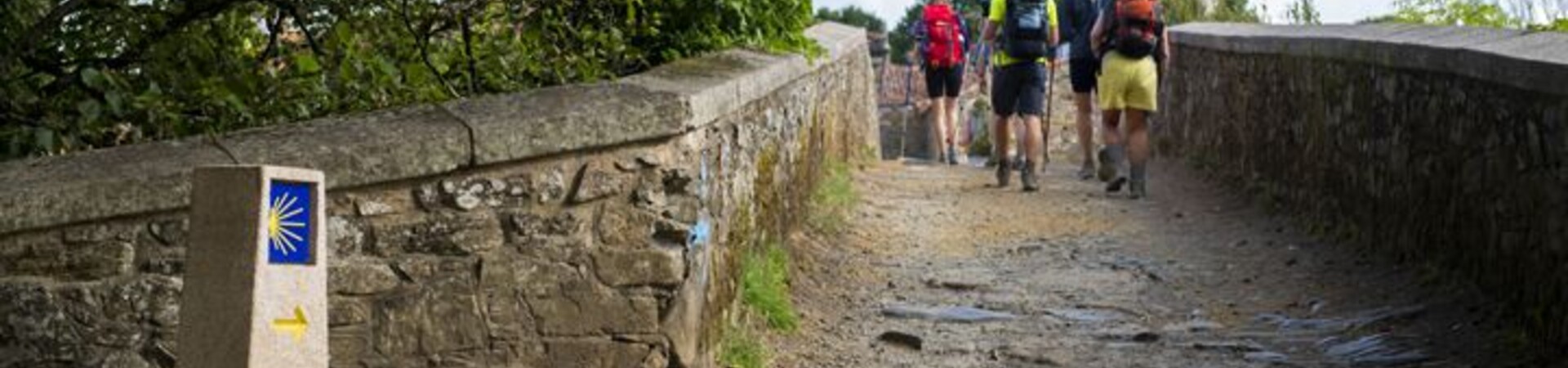 Compostelle : circuits en Espagne