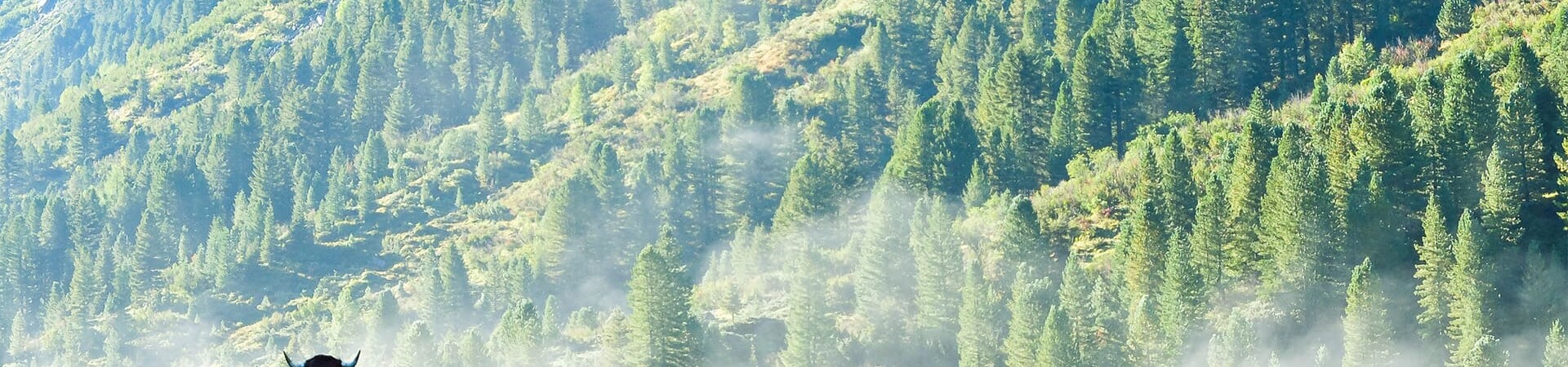 Trek dans les Alpes de 7 jours