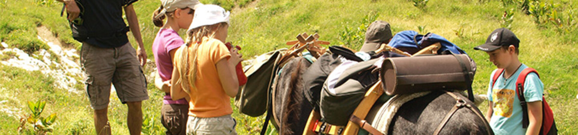 Alpes : <br>Des séjours randonnées à vivre en famille