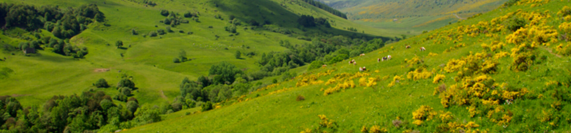 Cantal<br> Treks et Randonnées itinérantes 
