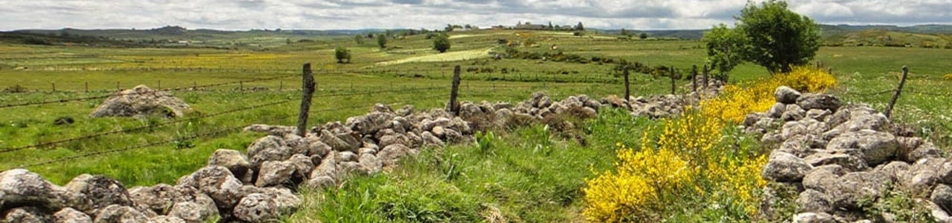 Trek en Aubrac