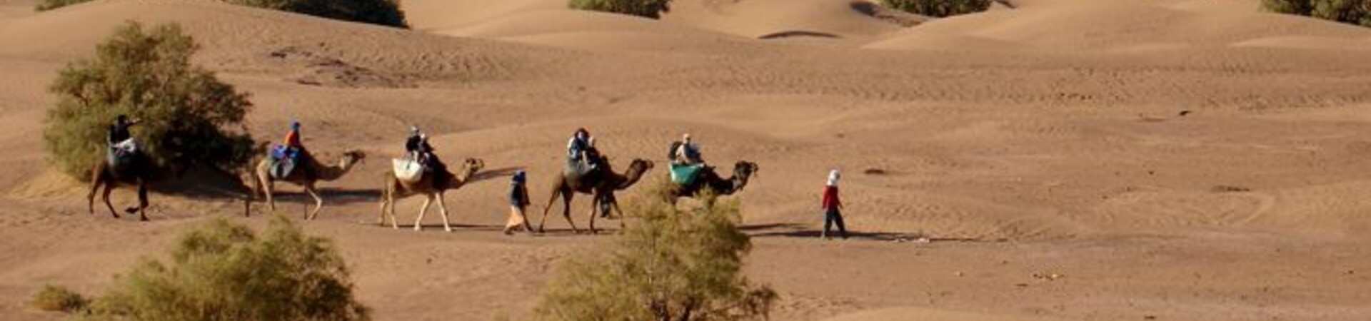 Treks et randonnées itinérantes dans le désert