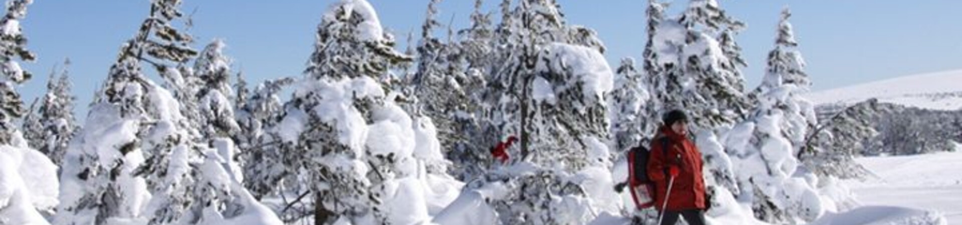 Séjours Raquettes dans le Massif Central