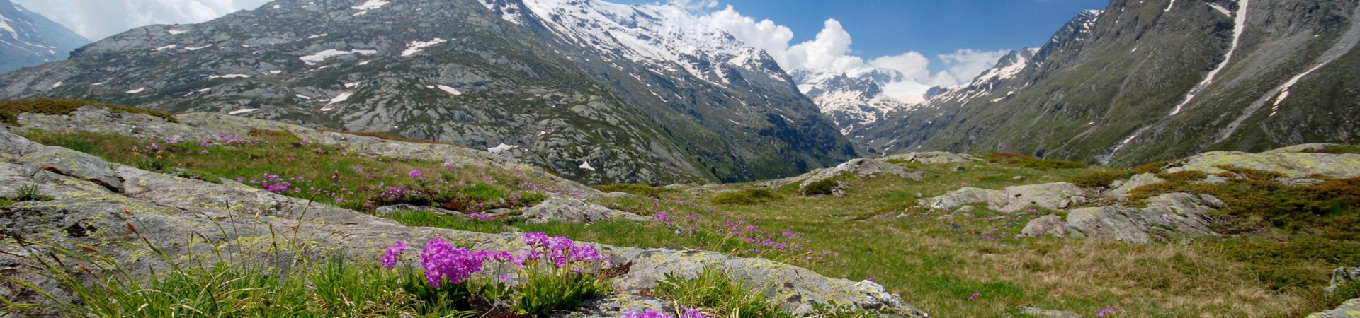 Treks et randonnée en Savoie