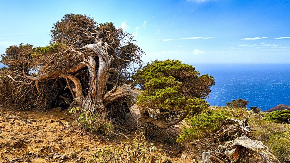 Image Canaries : l'île sauvage d'El Hierro