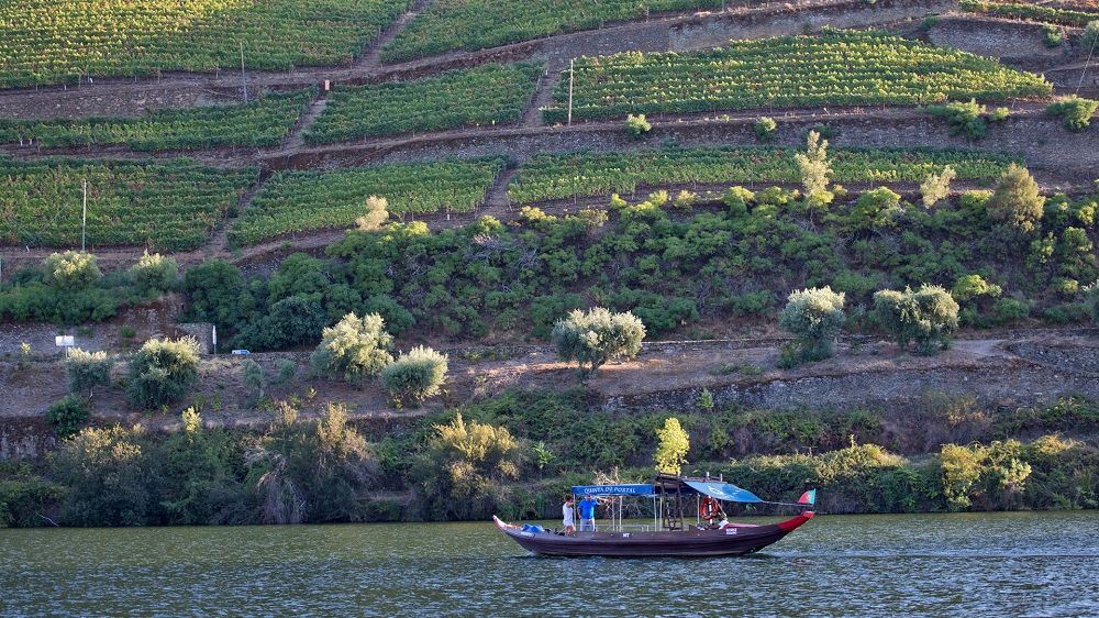 Image Portugal, les vignobles de la Vallée du Douro