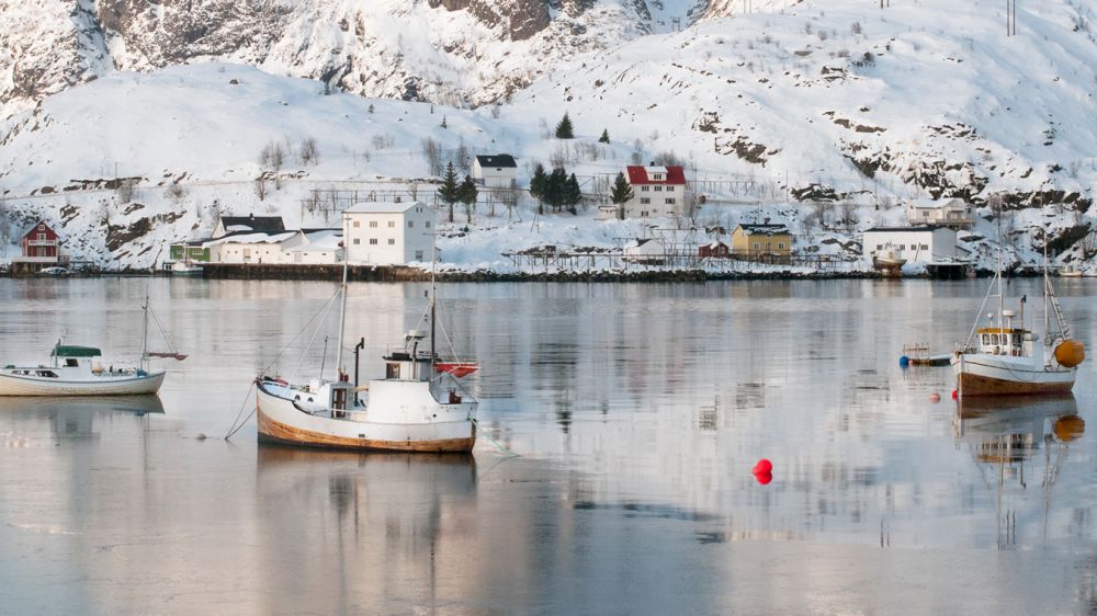 Bateaux de pêche dans les Lofoten en hiver