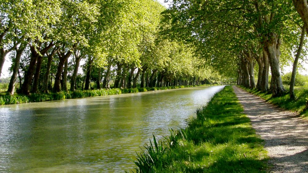 Image Le Canal du Midi de Toulouse à Agde