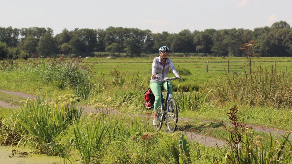 Image La Route du sud de la Hollande à vélo et bateau