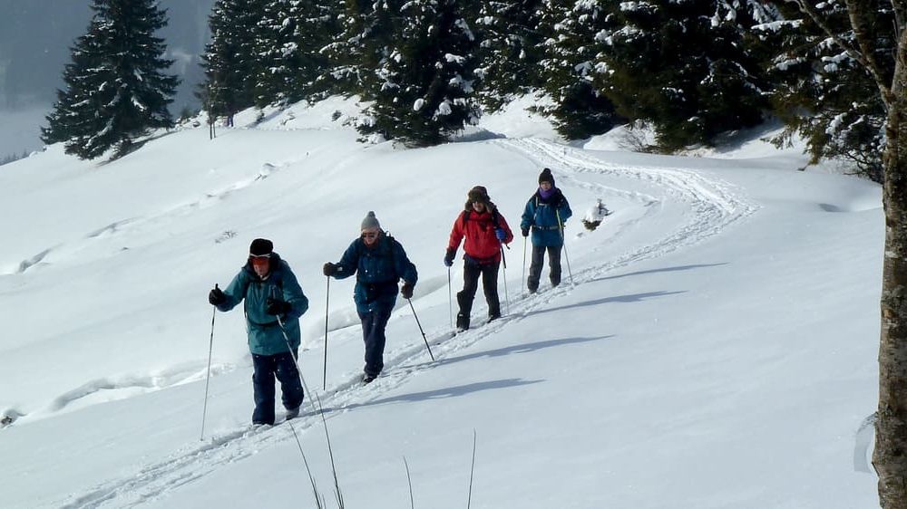 Image Traversée de la Haute Forêt-Noire à ski de fond